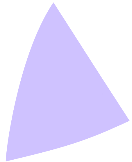 decorative purple triangle accent shape