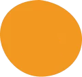 orange circle decorative accent on Prisma team page